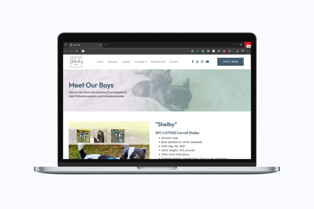 Mockup Chihuahua Breeder Website with Adoption System