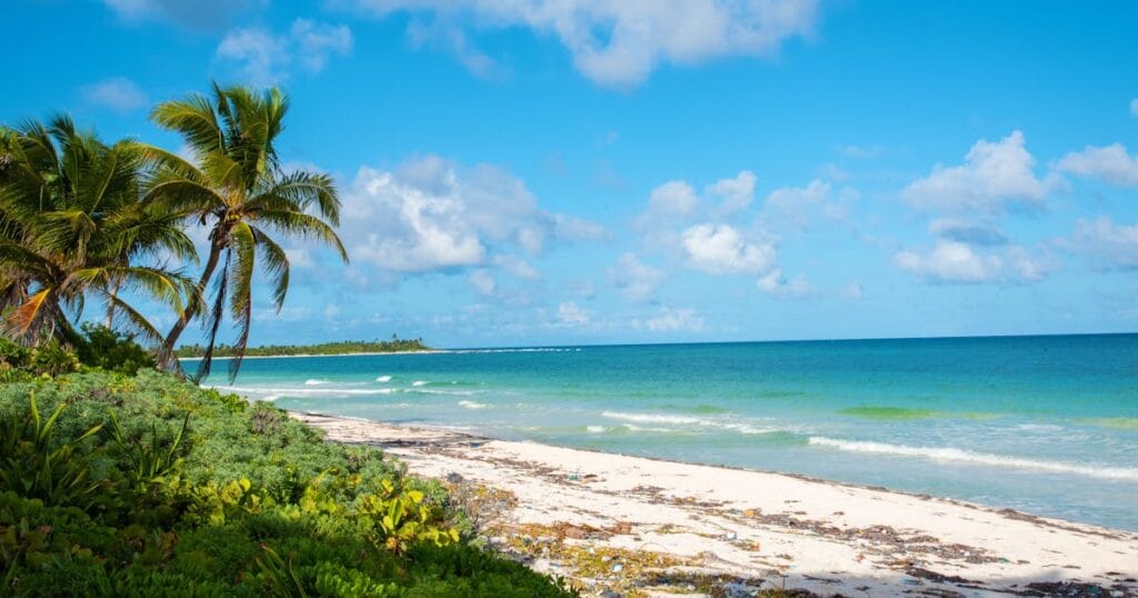 Explore the pristine shores of Tulum, Mexico with palm trees under a clear blue sky.