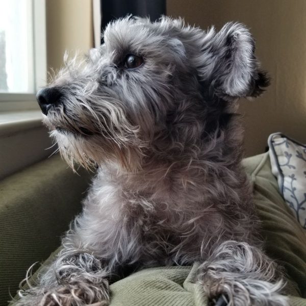 photo_2022-11-19_19-50-47