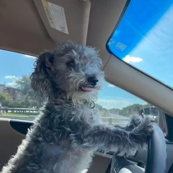 photo_2025-05-08_17-06-29 (2)